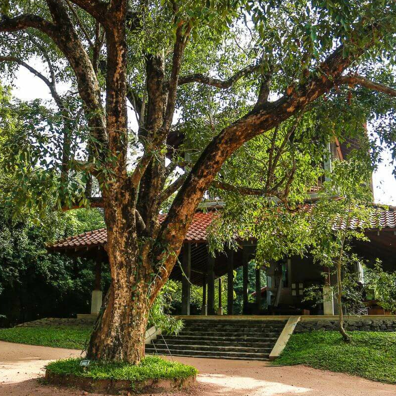 Wild Gras Nature Resort
