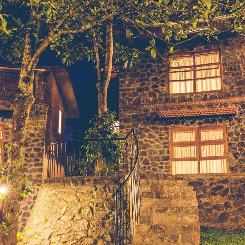 Wildernest