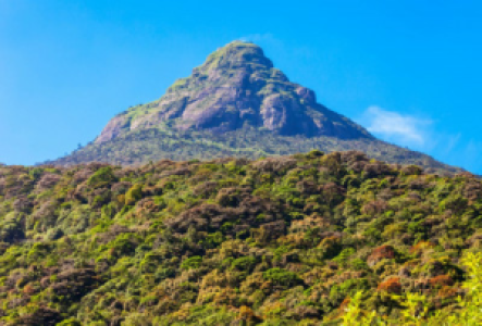 Auf dem Adam's Peak