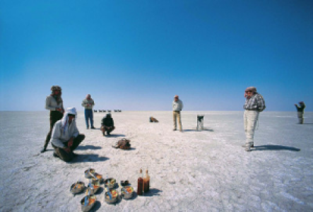Bivouac