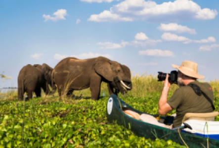 Kanufahrt im Mana Pools
