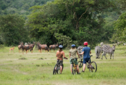 Mountainbiking in Uganda