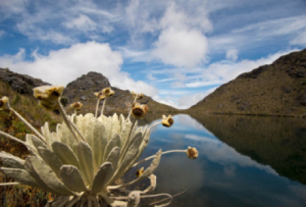 Paramo del Angel