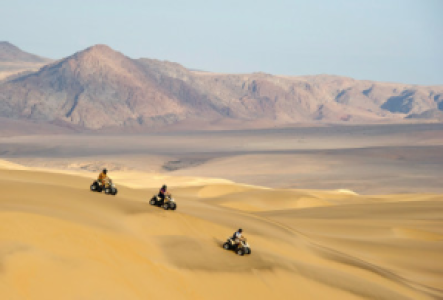 Quadsafaris