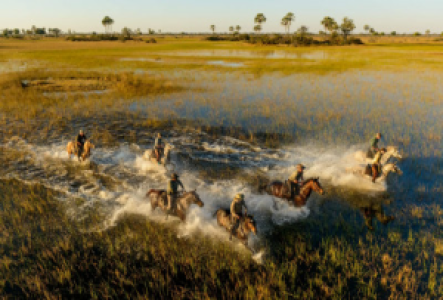 Reitsafaris