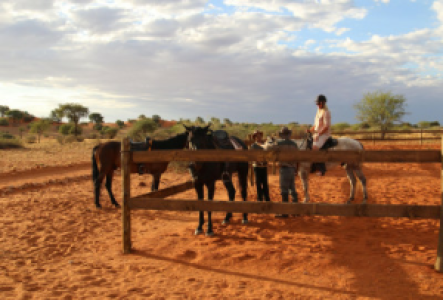 Reitsafaris in Namibia