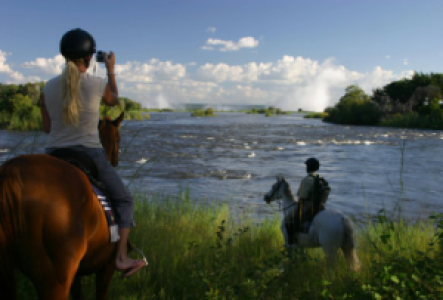 Reitsafaris in Vic Falls