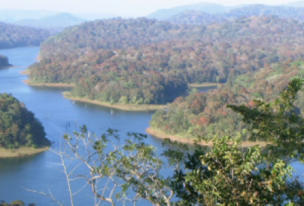 Wandern in Periyar
