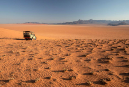 Wüstensafaris