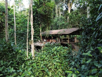 Camp Imbalanga