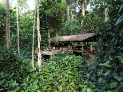 Camp Imbalanga