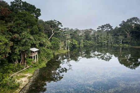 Mbeli Camp