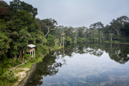 Mbeli Camp