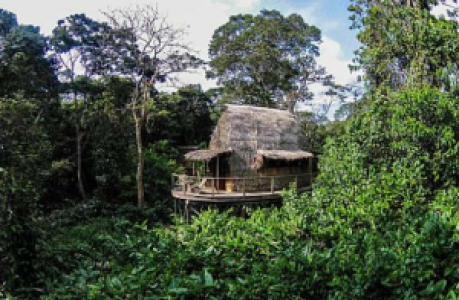 Ngaga Camp