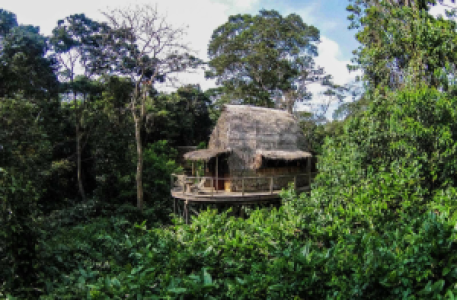Ngaga Camp