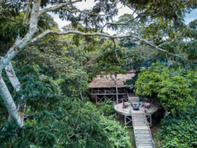 Ngaga Camp