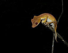 Madagaskar unbekannter Norden