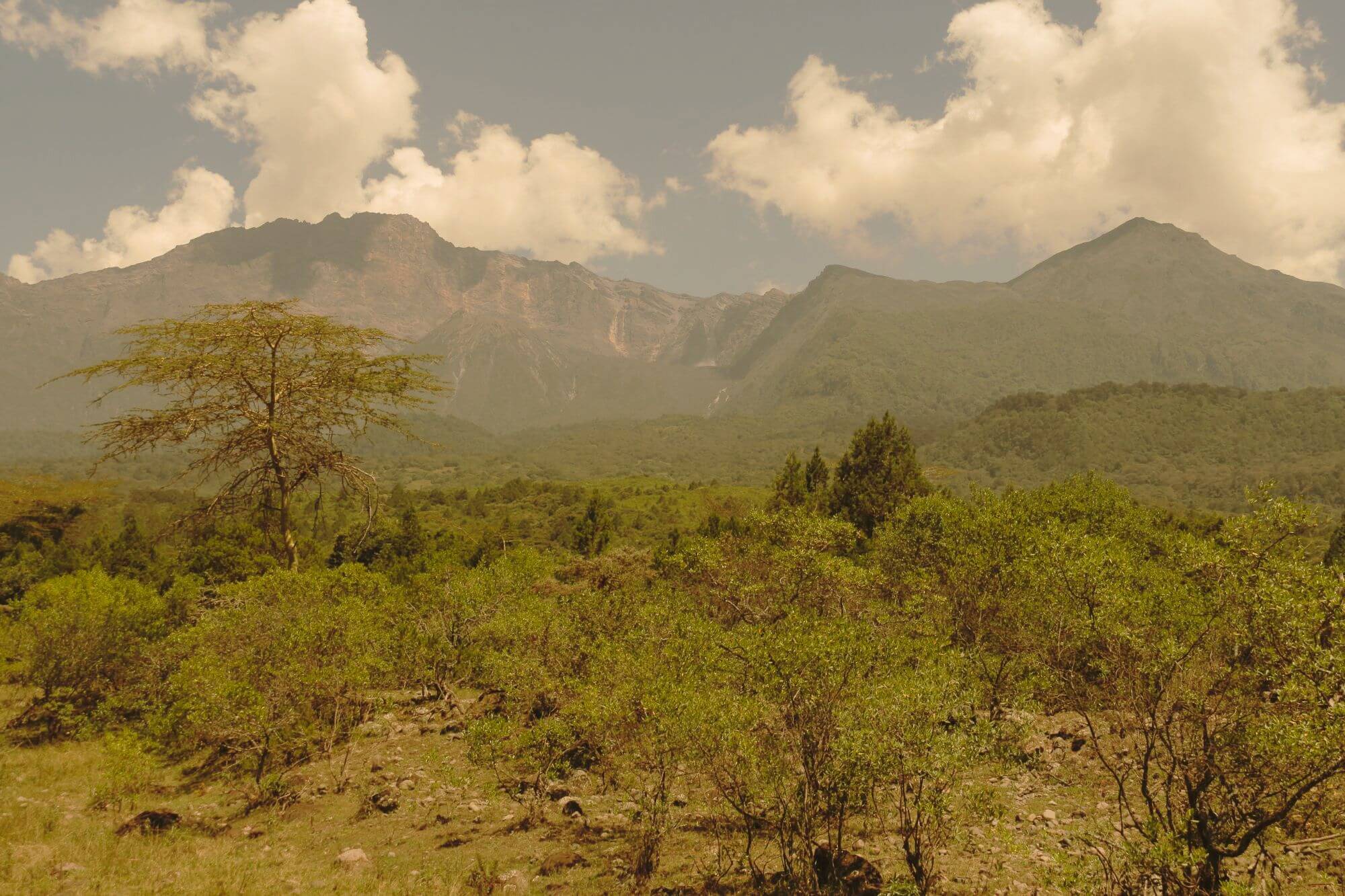 Arusha Nationalpark (10) - 