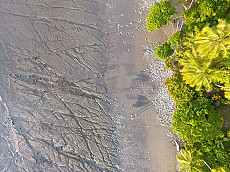 Costa Rica Tierbeobachtungsreise: die reiche Küste