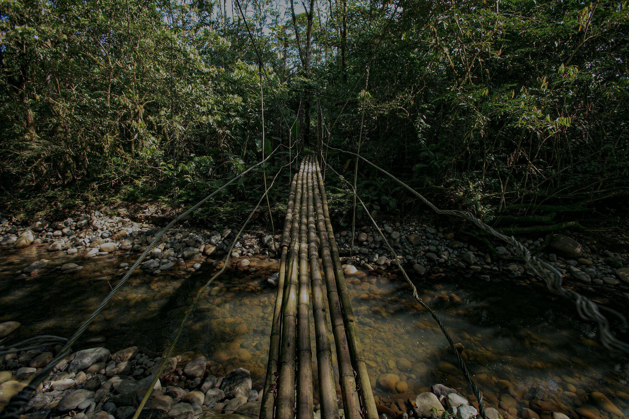 Kuyana - Ecuador Amazon (7)