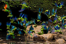 Ecuador Grand Safari