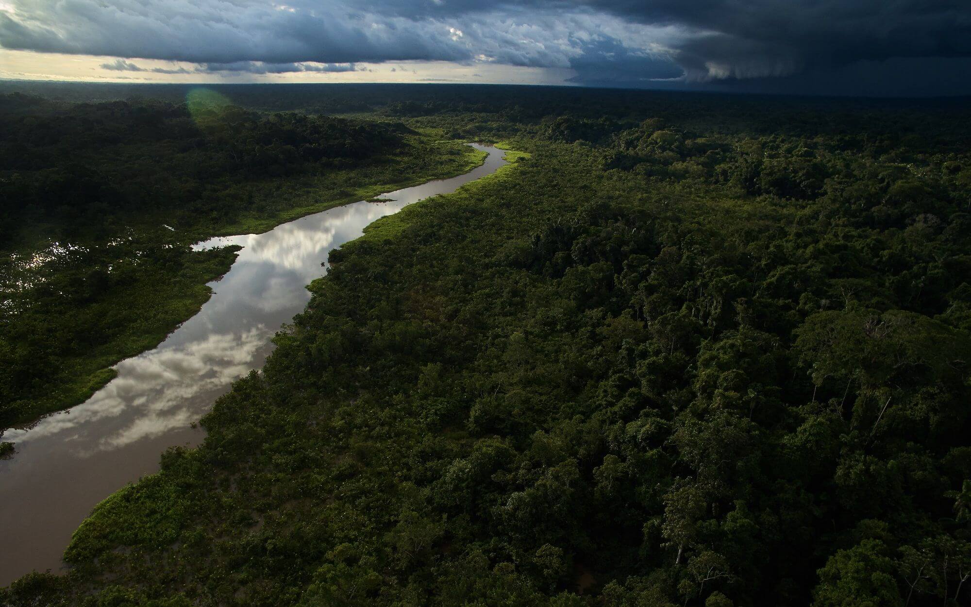 Ecuador Amazon - Sani Lodge (18) - 
