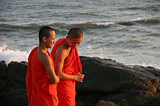Sri Lanka Essential Safari