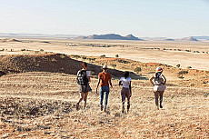 Namibia Grand Safari: Überland- und Fly-in-Safari