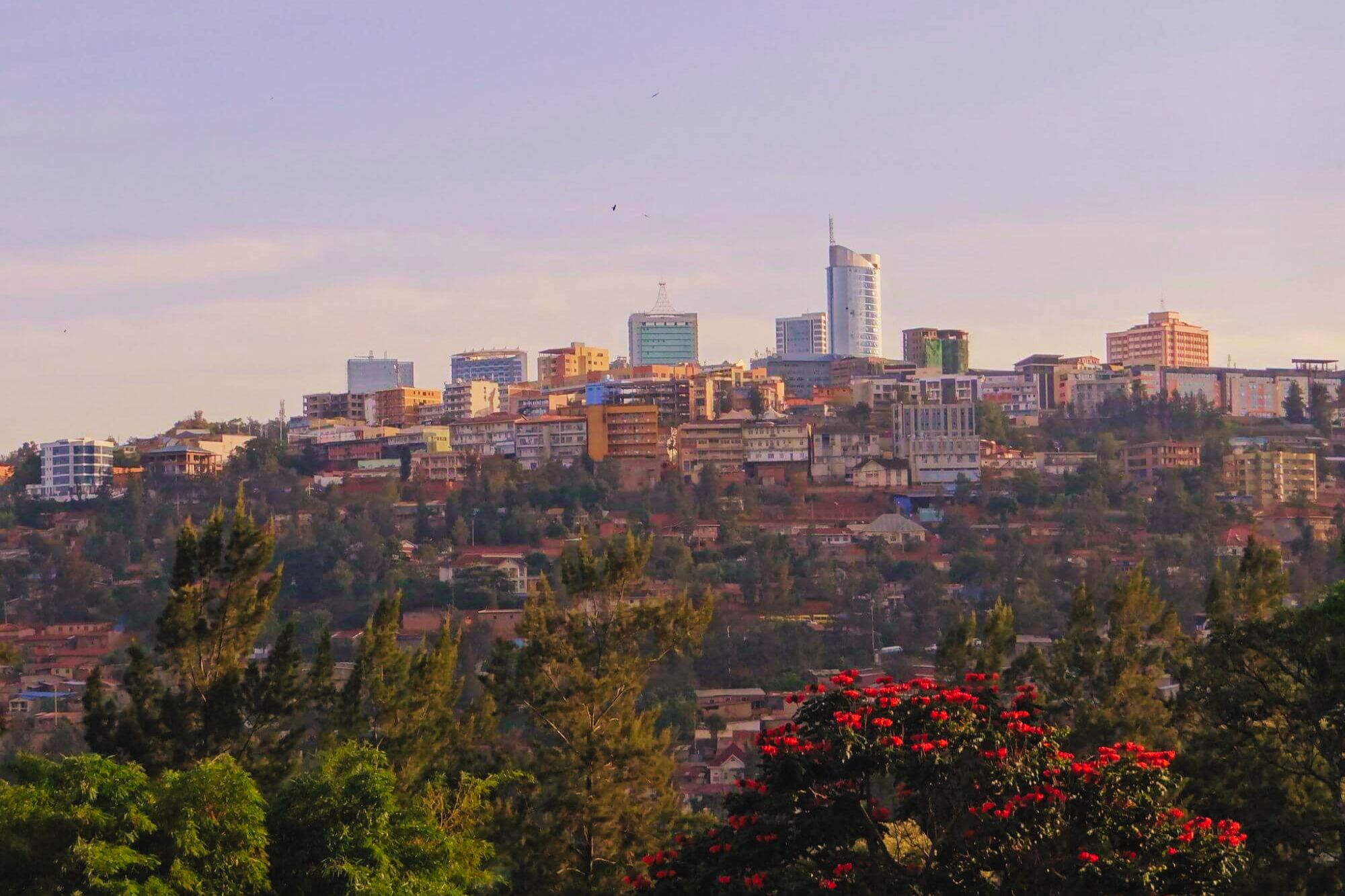 Erdbeernaut-Kigali (4) - 