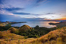 Intensive Orang Utan Safari mit Komodo