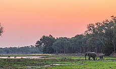 Simbabwe Incredible Safari