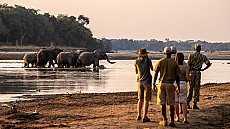 Sambia Grand Safari