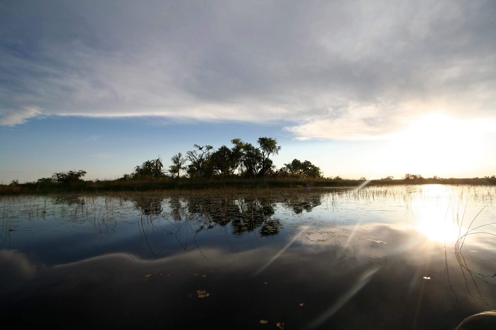 Murphy,Sean-Okavango-Landscape (2) - 