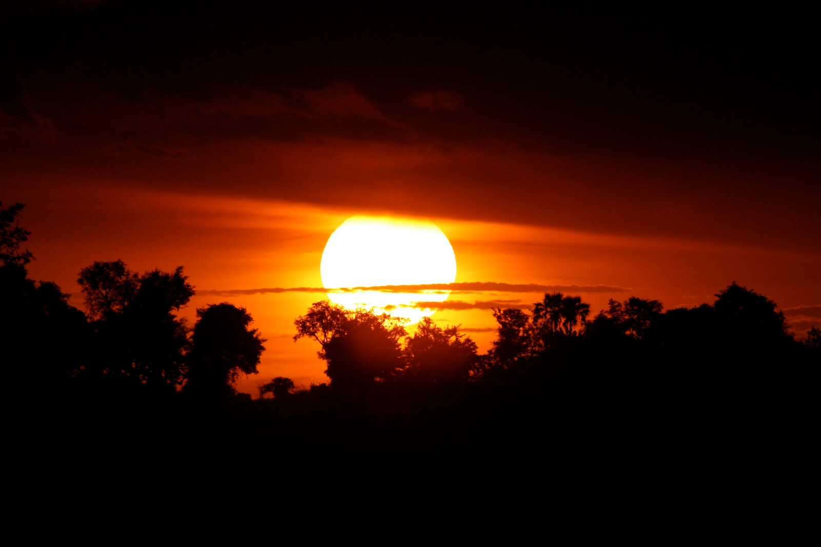 Murphy,Sean-Okavango-Sunset - 