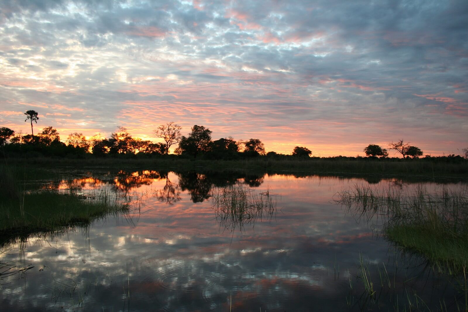 Rawlison,John-Okavango-Sunset - 