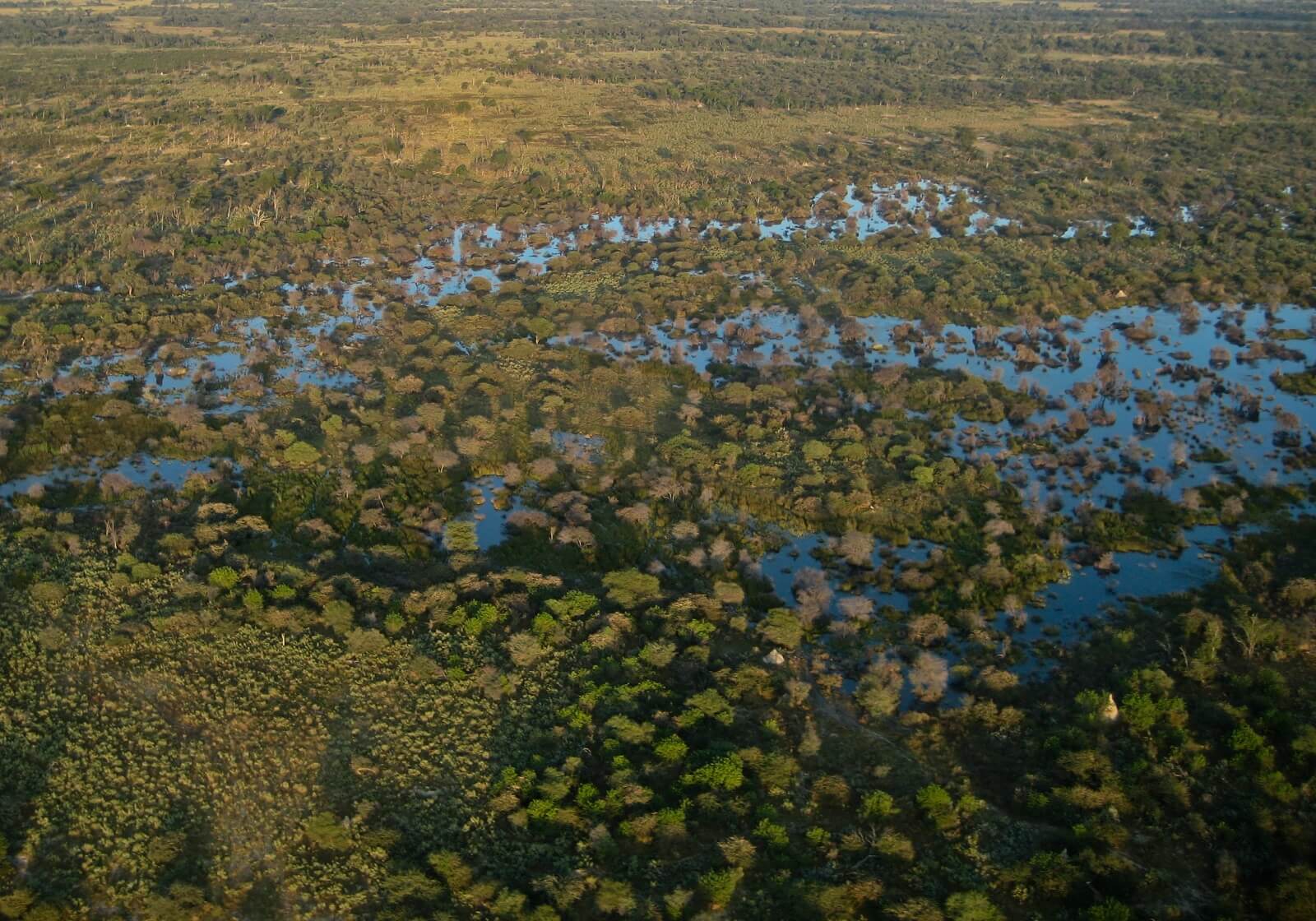Tarlock,Marc-Okavango-Air - 