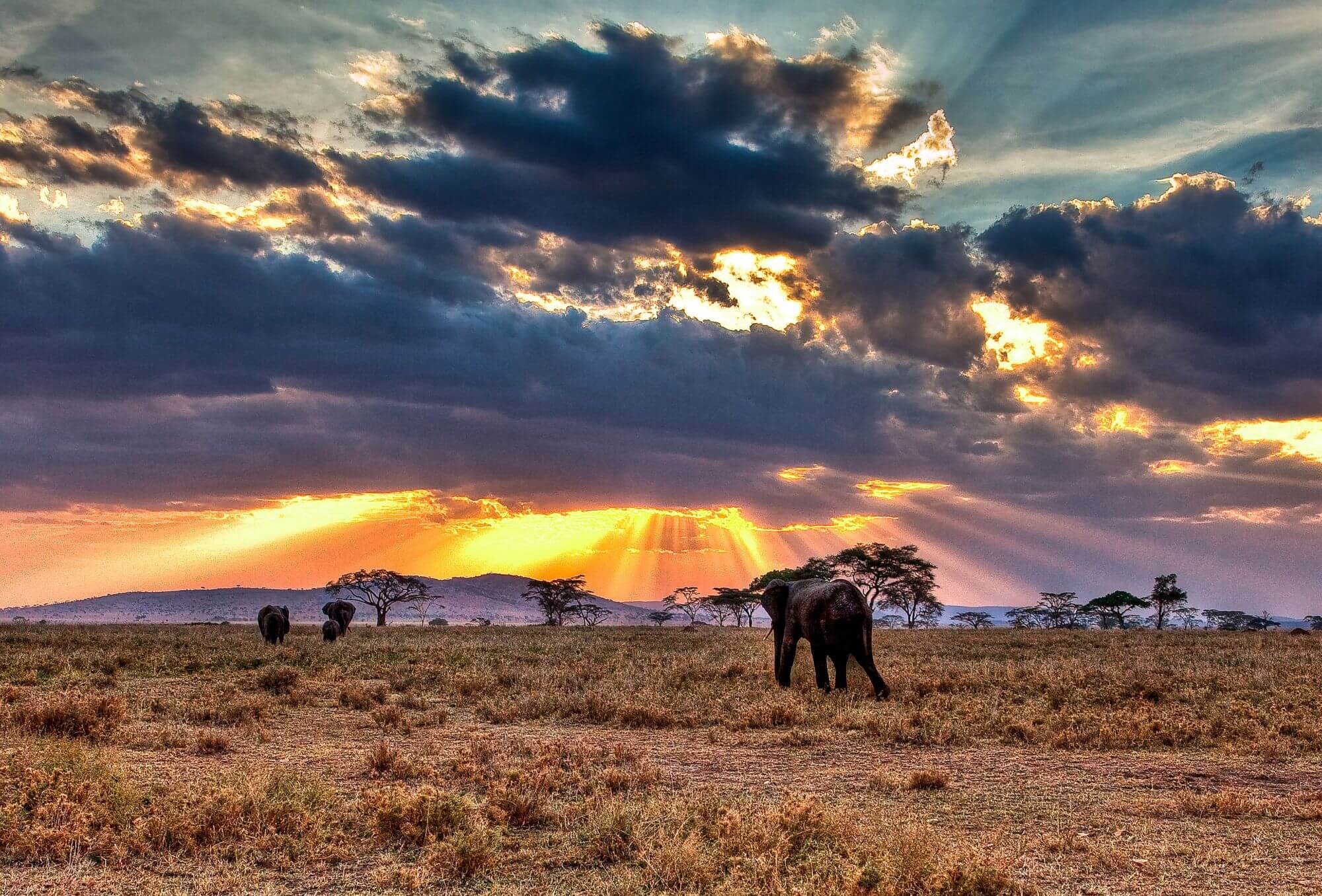 Feans-Serengeti-Mara-copy - 