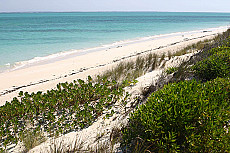 Madagaskar Best of Best