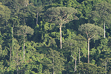 Tansania Grand Safari