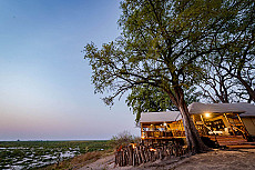 Camp Linyanti