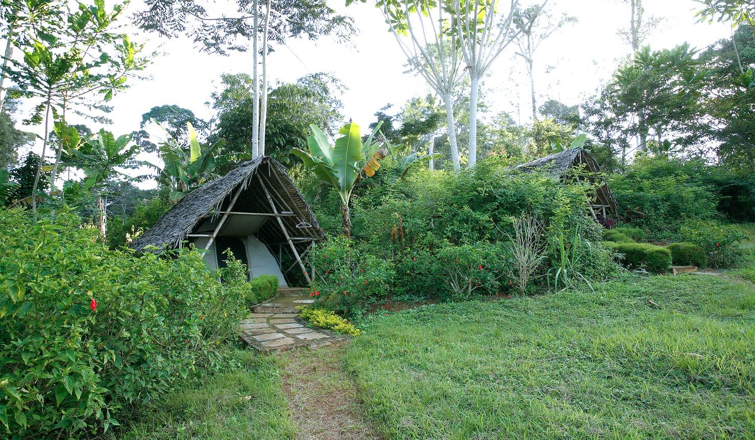 Amani Forest Camp (3) - 