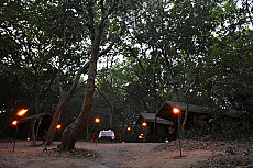 Explorer Kumana Camp