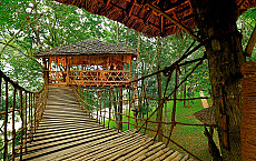 Greenwoods Resort