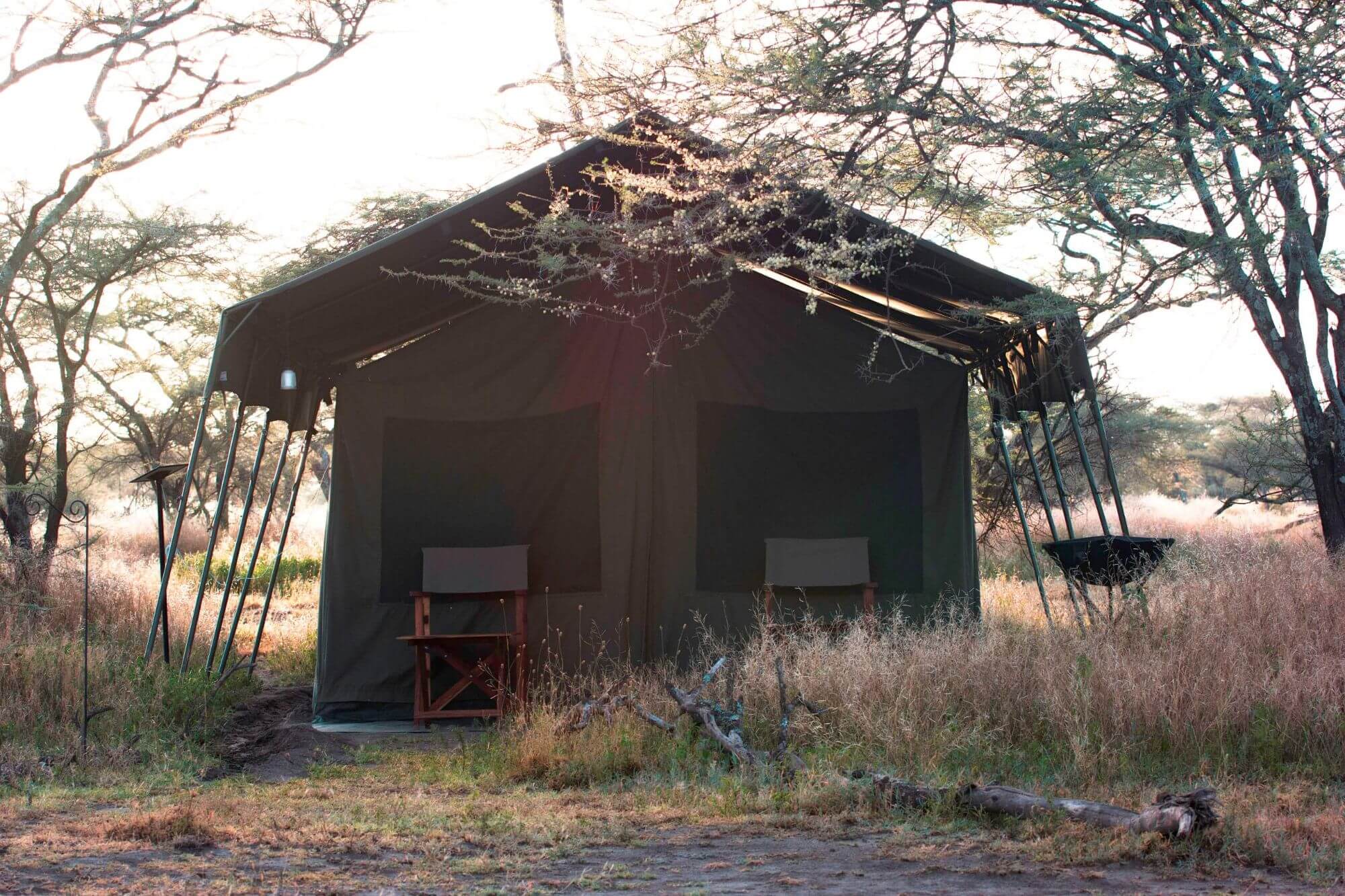 Serengeti Halisi Camp (8) - 