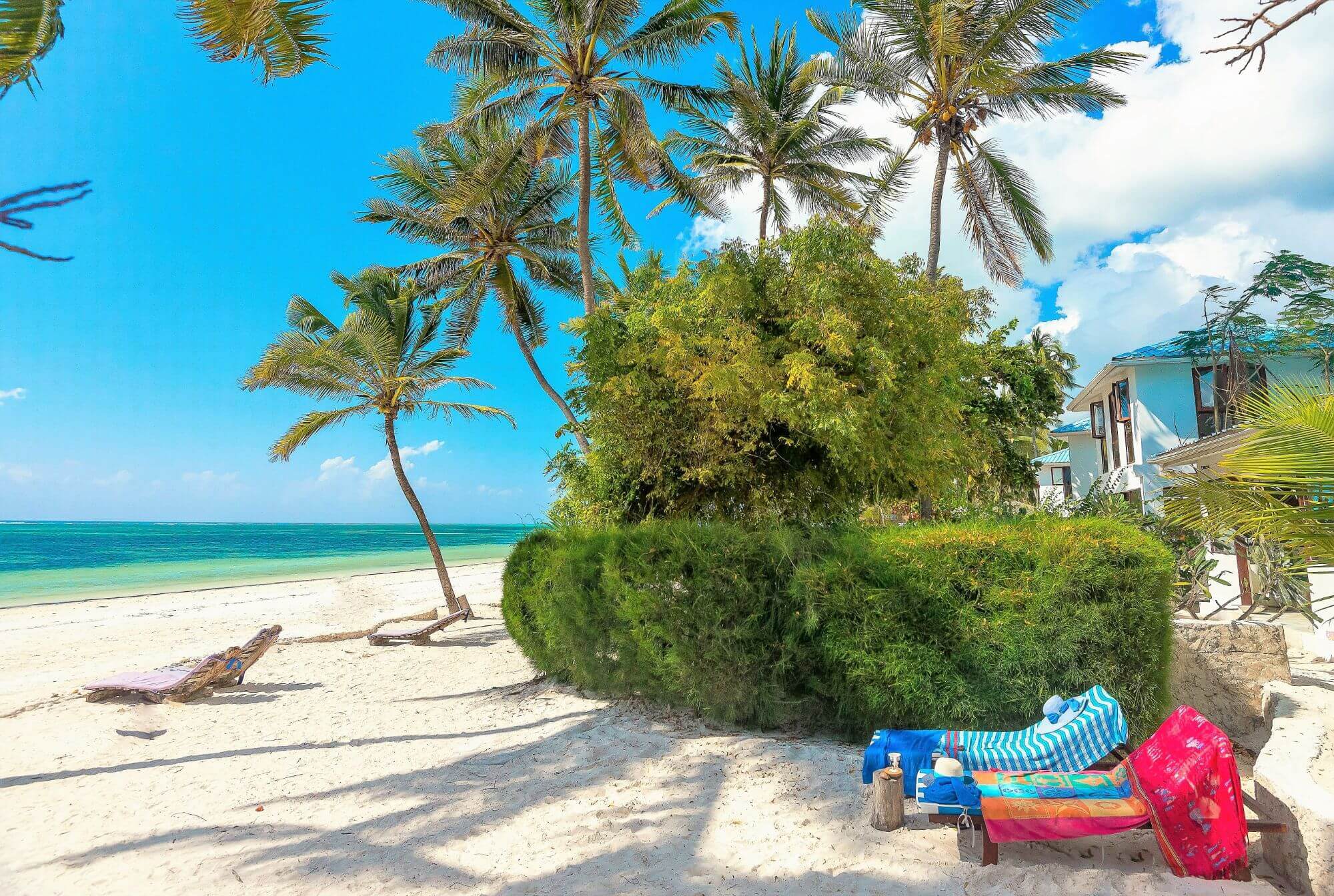 Indigo Beach Zanzibar - Lodge (5) - 