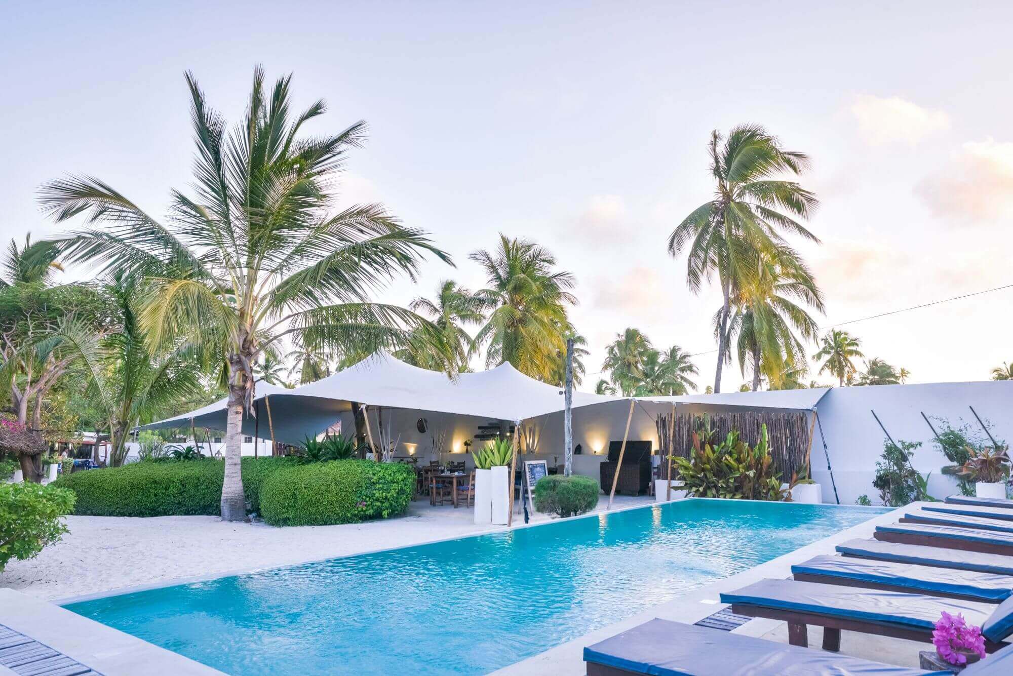Indigo Beach Zanzibar - Lodge (1) - 