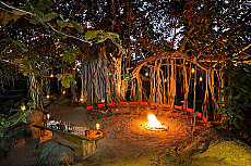 Jamtara Wilderness Camp