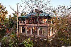 Jim’s Jungle Retreat