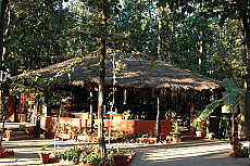 Kanha Jungle Lodge