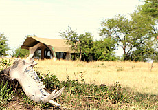 Kimondo Mara Camp